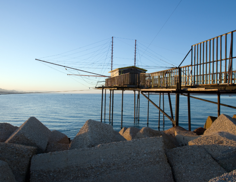 CF - RoadSHOW (2) CF - RoadSHOW (2)